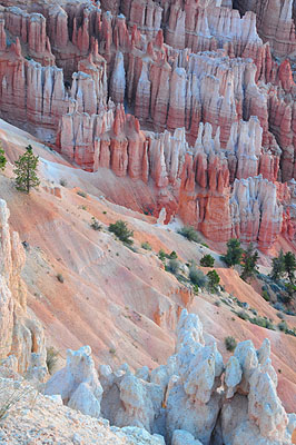 DSC_2409.jpg (4288x2848) NIKON D300 - 18-200mm f/3.5-5.6 // F32 // 2.5 sec // ISO 220 // 56,0 mm // no Flash // 2008:07:15 05:35:10 DSC_2409.jpg (4288x2848) NIKON D300 - 18-200mm f/3.5-5.6 // F32 // 2.5 sec // ISO 220 // 56,0 mm // no Flash // 2008:07:15 05:35:10